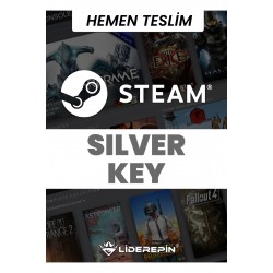 Steam Random (silver) Key