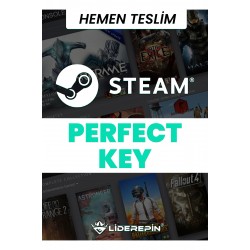 Steam Random (perfect) Key