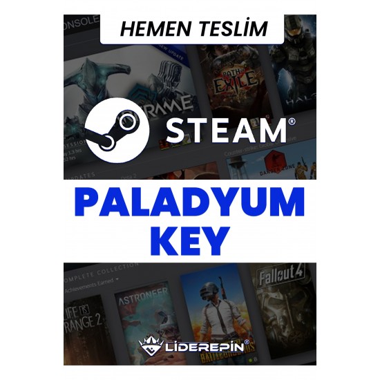 Steam Random (paladyum) Key